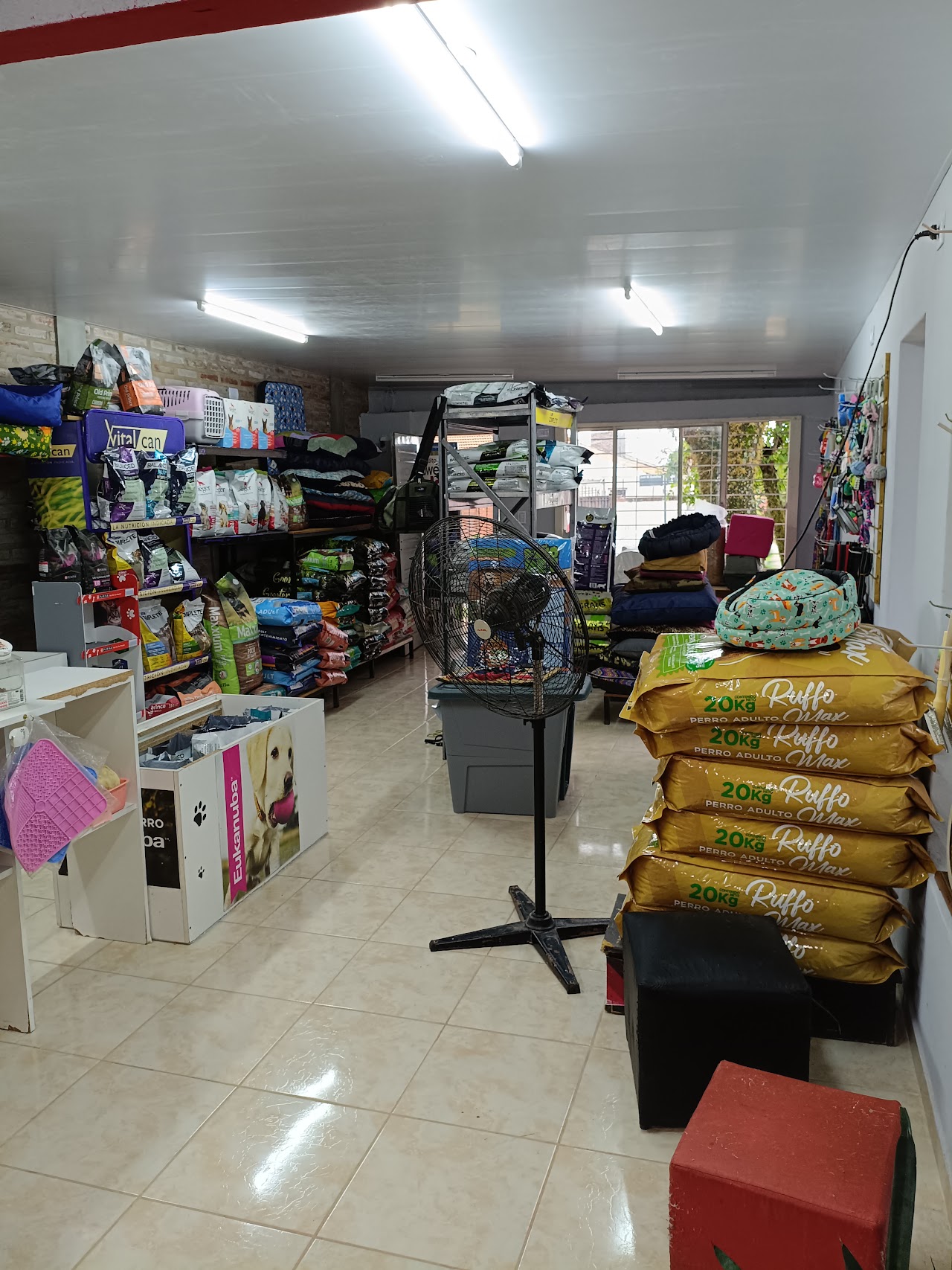 Interior de Veterinaria Huellitas