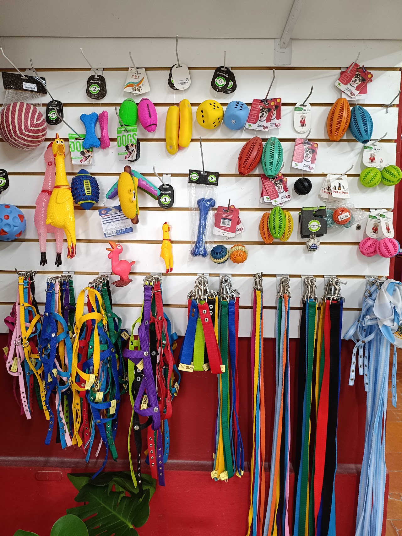Accesorios y juguetes en Veterinaria Huellitas